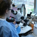 MCAT Biology Section Practice Test: 7 Proven Strategies to Avoid Costly Mistakes