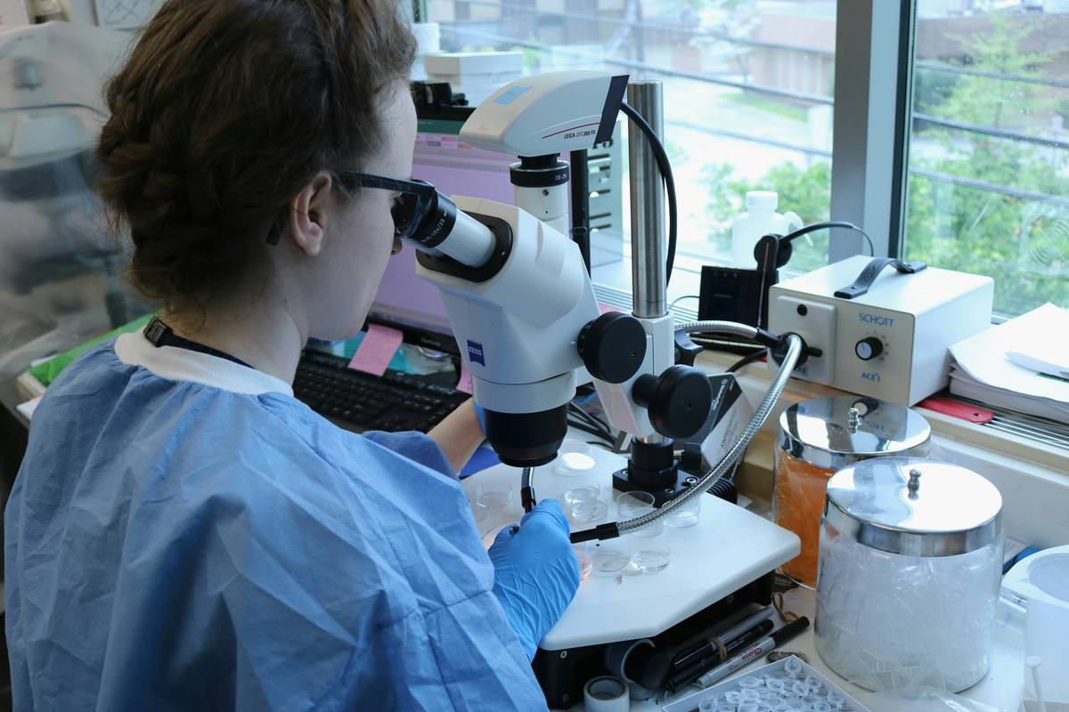 MCAT Biology Section Practice Test: 7 Proven Strategies to Avoid Costly Mistakes