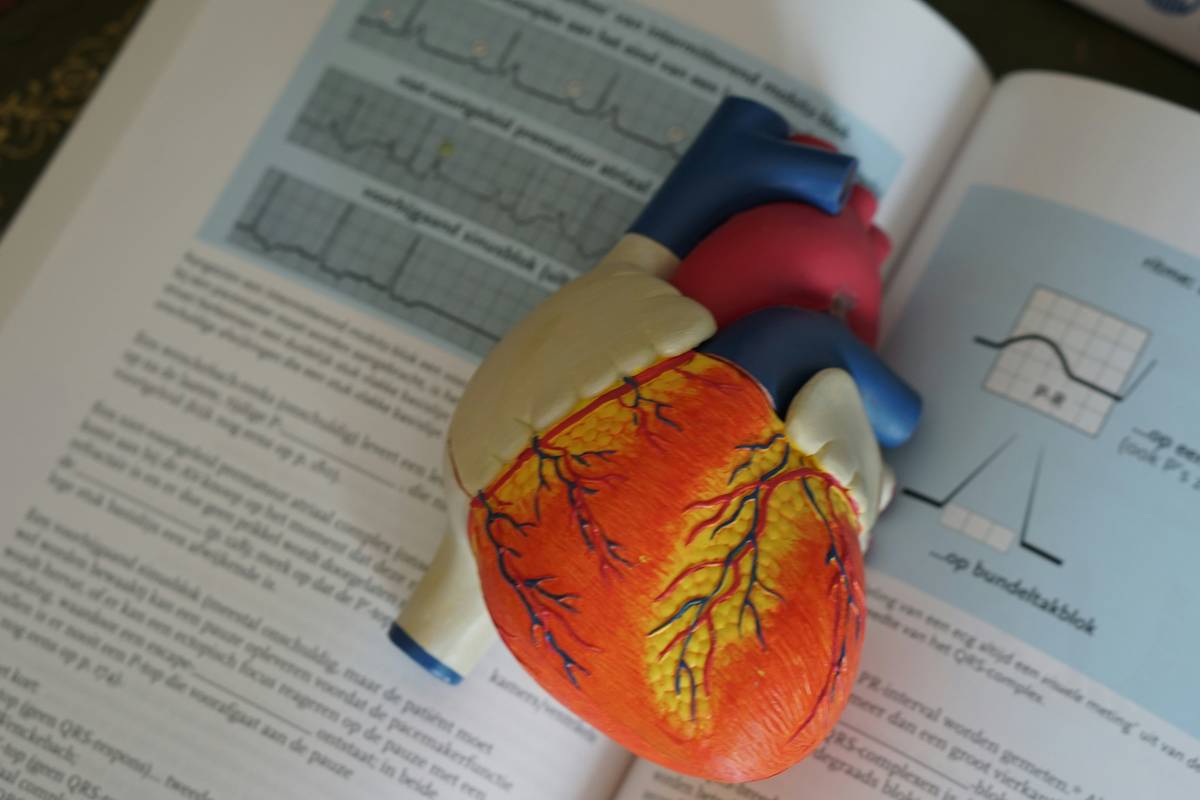 Mcat Biology Study Guide: 7 Proven Strategies to Avoid Costly Mistakes